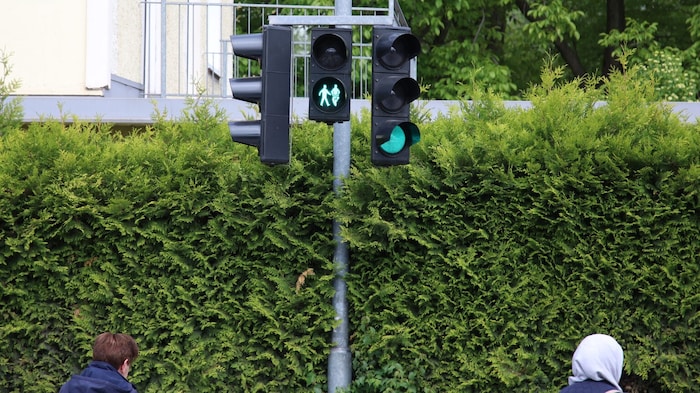 Grün für Passanten und Grün für Fahrzeuge.
