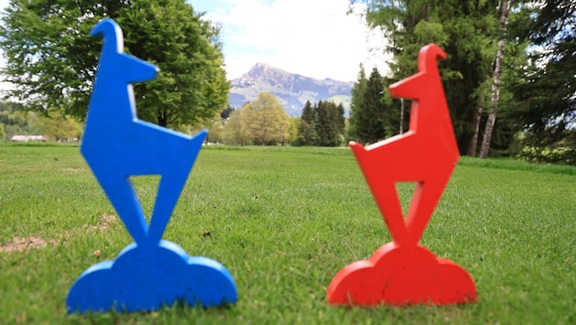 Nächste Woche gehen in Kitzbühel die Austrian Alpine Open über die Bühne.