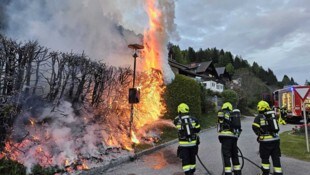 Eine Thujenhecke ging in Flammen auf. 