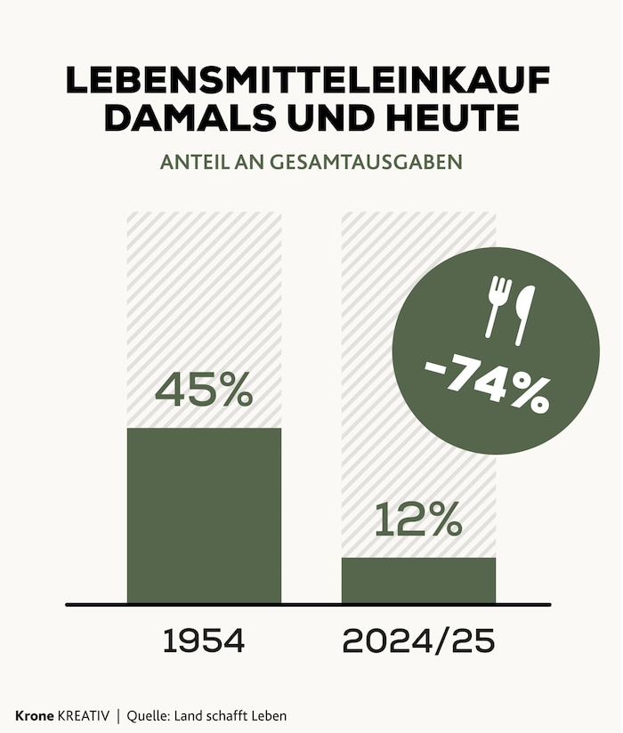 Die Österreicher geben immer weniger Geld für Lebensmittel im Vergleich zu anderen Dingen aus.