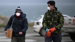 In Ushuaia wird nach dem Ursprung des Virus gesucht.