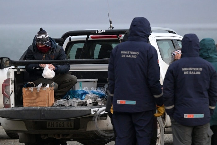 Experten vor Ort im Einsatz
