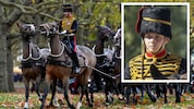 Die King‘s Troop Royal Horse Artillery vollführt spektakuläre Manöver auf dem Rücken der Pferde. ...