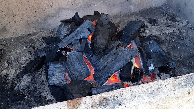 Laut der Anklage deklarierten die Betrügerinnen und Betrüger Asche als Holzkohle (Symbolbild).