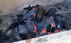 Laut der Anklage deklarierten die Betrügerinnen und Betrüger Asche als Holzkohle (Symbolbild).