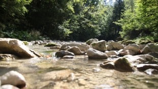 Viele Salzburger schätzen die Klamm zum Spazierengehen.  