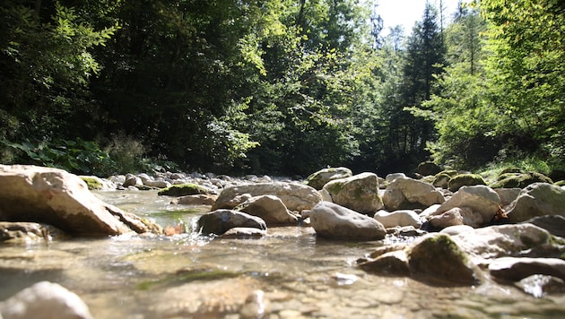 Viele Salzburger schätzen die Klamm zum Spazierengehen.