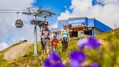Sommer auf dem Schareck