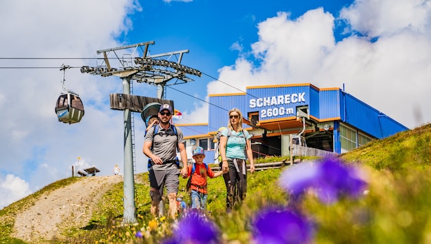 Sommer auf dem Schareck
