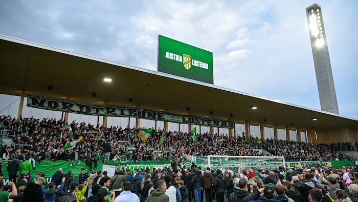 Die Sun Minimeal-Arena und die Fans in Lustenau sind schon erstklassig.