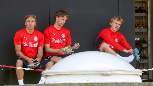 Mads Bidstrup, Maurits Kjaergaard und Frans Krätzig (von links).