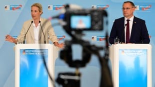 AfD-Chefin Alice Weidel und Co-Chef Tino Chrupalla sind aktuell obenauf.