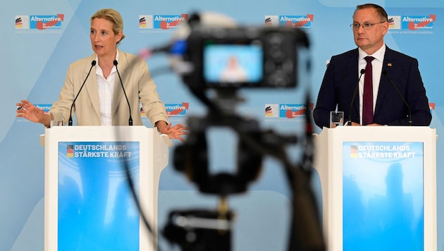 AfD-Chefin Alice Weidel und Co-Chef Tino Chrupalla sind aktuell obenauf.