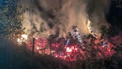Die Feuerwehr konnte den Brand rechtzeitig löschen.