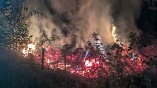 Die Feuerwehr konnte den Brand rechtzeitig löschen.