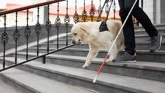 Ein Assistenzhund ist für seinen Menschen im Alltag eine unverzichtbare Unterstützung.