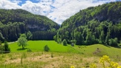 Blick Richtung Talsenke und dem Wasserhaus.