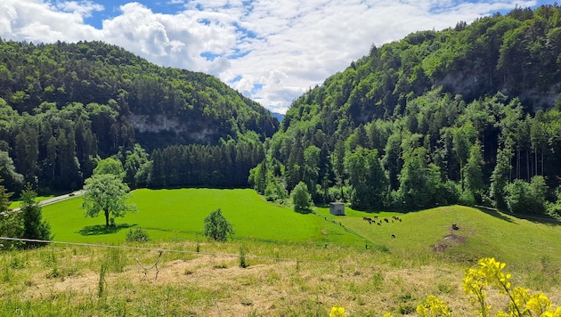 Blick Richtung Talsenke und dem Wasserhaus.