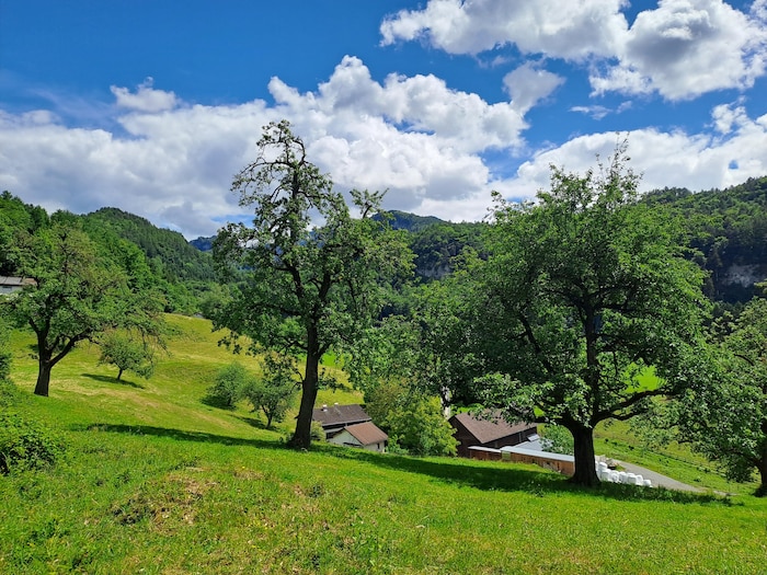Wanderung druch die Streuobstwiesen.