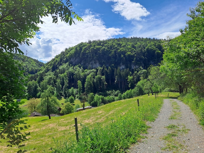 Entlang des Bio-Lehrpfads.
