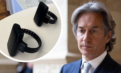 Ex-Finanzminister Karl-Heinz Grasser kostet den Staat im Hausarrest deutlich weniger als im ...
