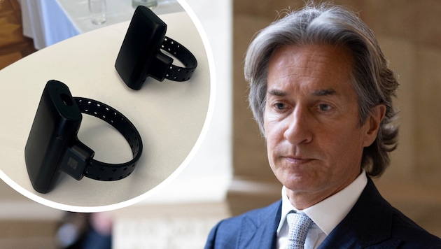 Ex-Finanzminister Karl-Heinz Grasser kostet den Staat im Hausarrest deutlich weniger als im ...