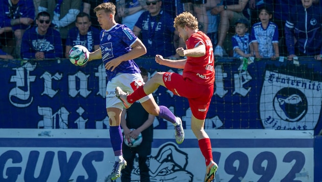 Will wieder angreifen: Austrias Christoph Gruber (li.).
