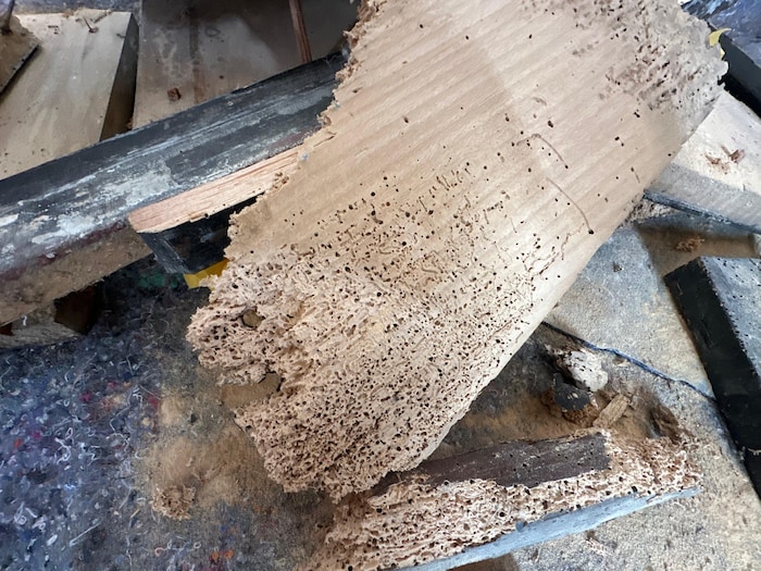 Die Holzwürmer haben sich durch Holzteile des Altars gebissen.