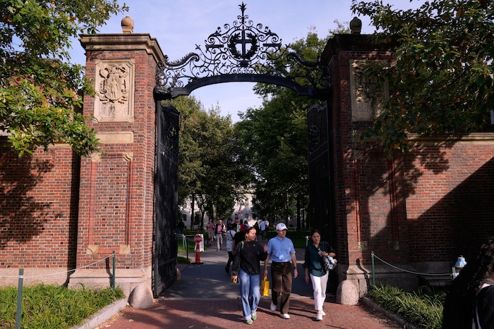 An der University of Harvard werden künftig nicht mehr so viele Einser vergeben.