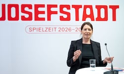 Die erste Direktorin in der Josefstadt: Marie Rötzer war zuletzt unter anderem in St.Pölten und ...