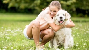 Der Hund sei der beste Freund des Menschen, heißt es. Doch taugen die Vierbeiner auch dazu, ...
