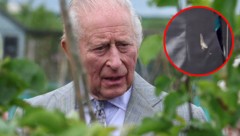 Damit hat Charles auf seinem Irland-Besuch wohl nicht gerechnet.