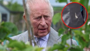 Damit hat Charles auf seinem Irland-Besuch wohl nicht gerechnet.