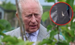 Damit hat Charles auf seinem Irland-Besuch wohl nicht gerechnet.