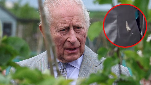 Damit hat Charles auf seinem Irland-Besuch wohl nicht gerechnet.