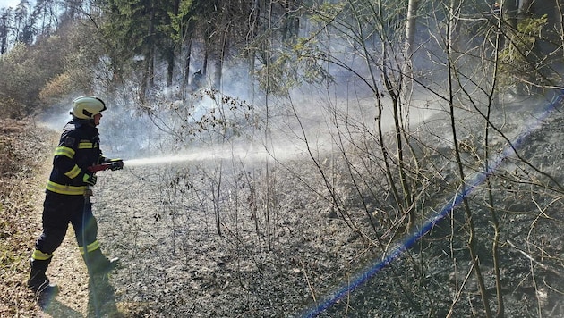 Aufgrund der vorherrschenden Trockenheit und akuter Waldbrandgefahr wurde in der Gemeinde dieser ...