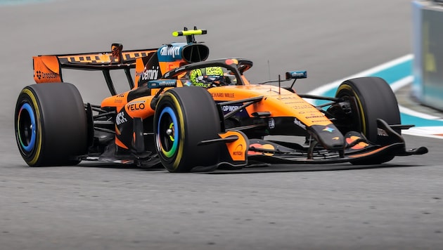 Lando Norris
