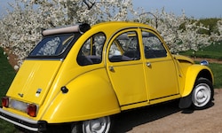 Citroën bringt die legendäre Ente (Bild) als Elektroauto auf den Markt. Die Öffentlichkeit soll ...