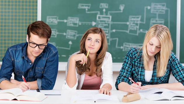 Mit Lernbegleitung und Sommerschule Plus zum Erfolg!
