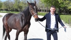 Erfolg mit Pferden und Immobilien: Oliver Badura in Baden.