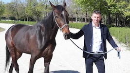 Erfolg mit Pferden und Immobilien: Oliver Badura in Baden.