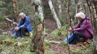 Im Wald sitzen, die Eindrücke aufnehmen und sich Zeitlassen: Studienteilnehmer beim Waldbaden im ...