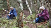 Im Wald sitzen, die Eindrücke aufnehmen und sich Zeitlassen: Studienteilnehmer beim Waldbaden im ...