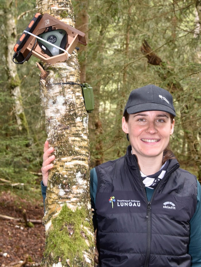 Biosphärenpark-Rangerin Verena Gruber mit am Baum angebrachter Messtechnologie.