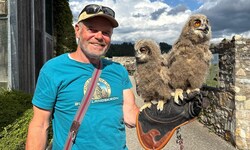 Falkner Franz Schüttelkopf mit zwei von drei jungen Uhus. 