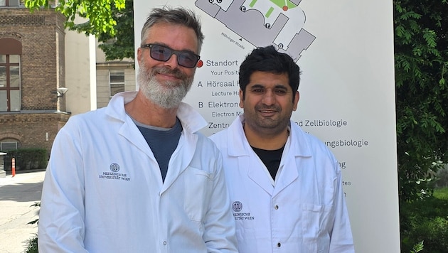 Die beiden Studien-Co-Leiter Schabbauer (l.) und Sharif (r.)