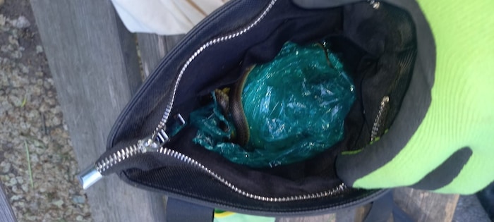 Wer genau hinsieht, erkennt die Schlange in der Tasche.