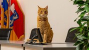 Auch im Rathaus St. Pölten war Kater „Larry“ schon zu Gast.