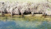 Ufer am Werkskanal: Das Wasser schwappte teilweise über.