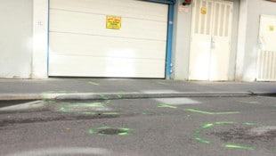 Der Unfall passierte vor einer Garageneinfahrt in Wien-Brigittenau.